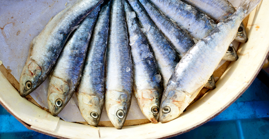 La pesca tradizionale nello Stretto di Messina è presidio Slow Food